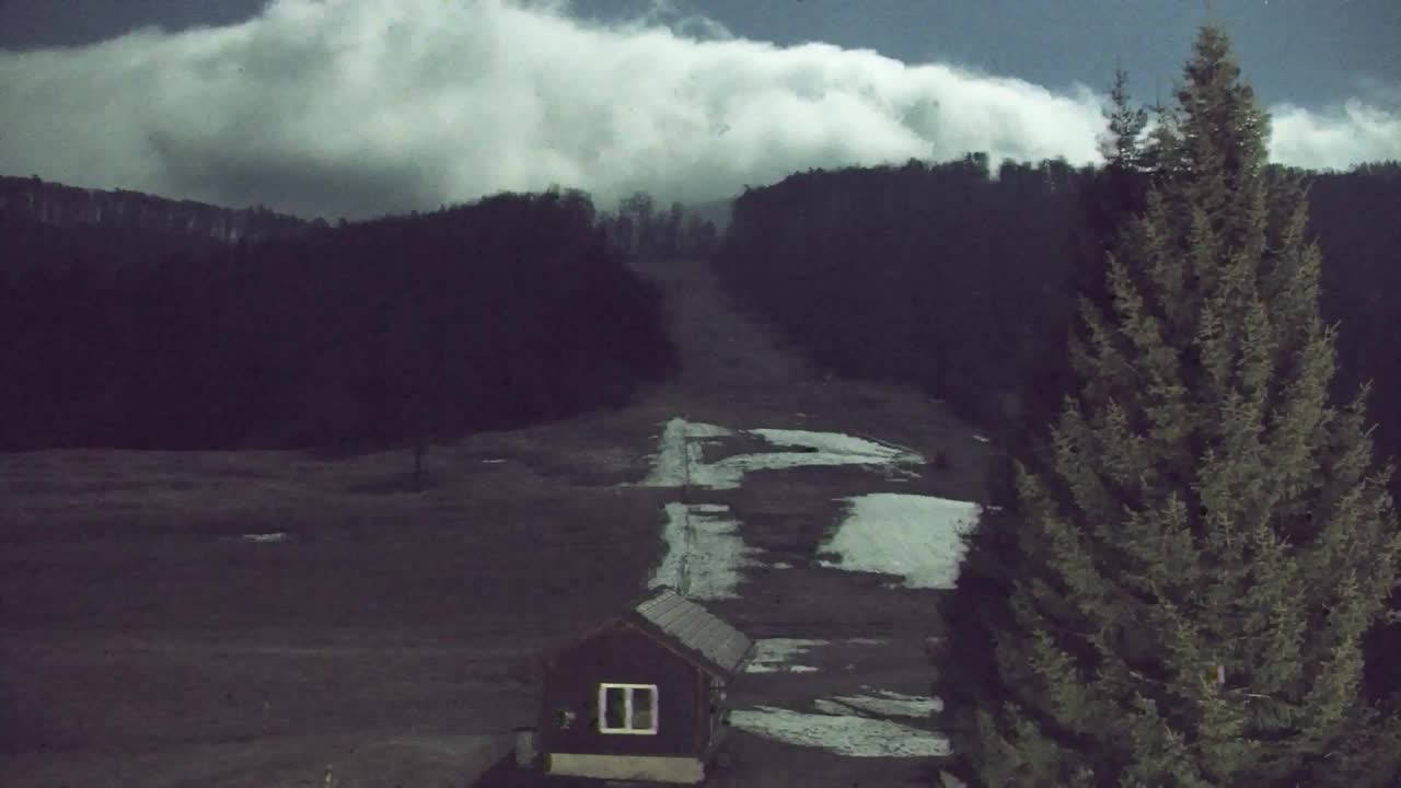 Web kamera Lokve – Ljepota Trnovske šume