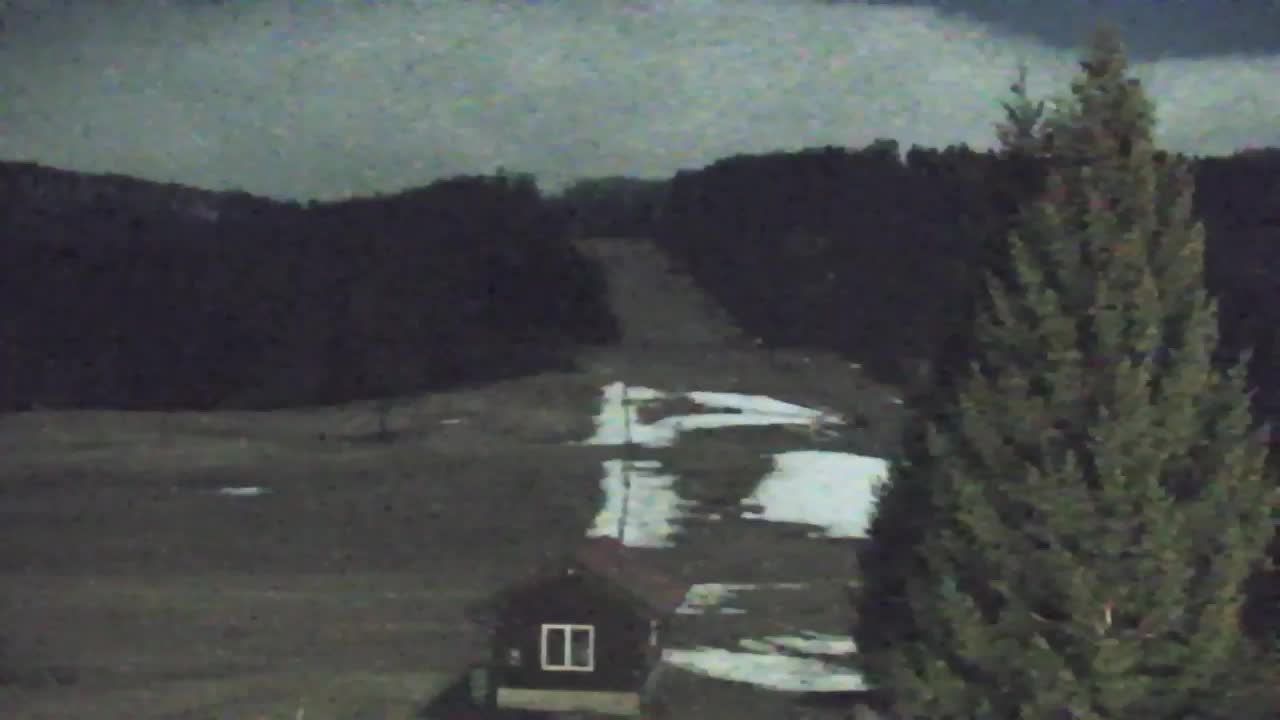 Webcam Lokve – The beauty of the Trnovo forest