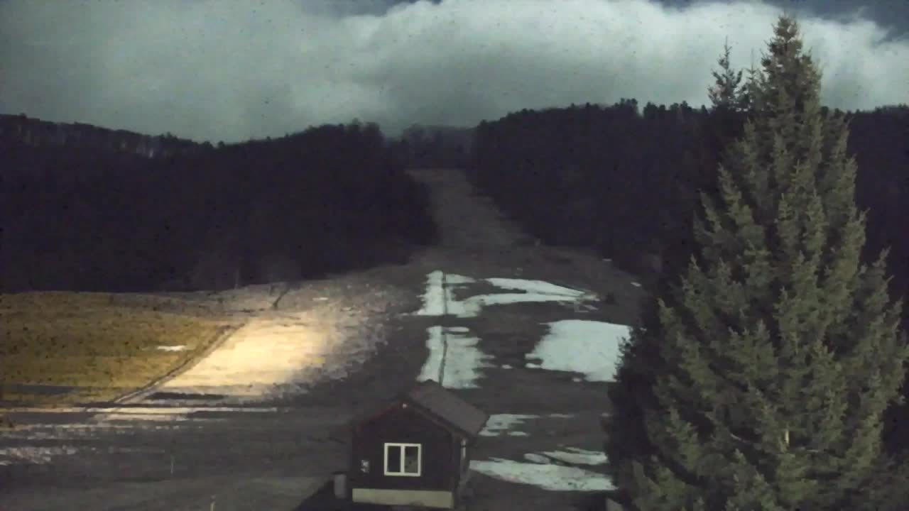 Webcam Lokve – The beauty of the Trnovo forest