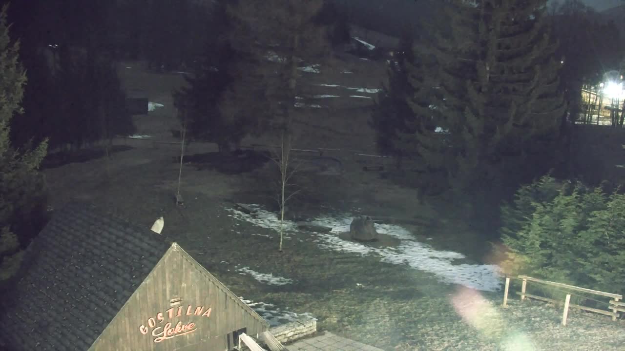 Webcam Loqua / Lokve – La bellezza della selva di Tarnova