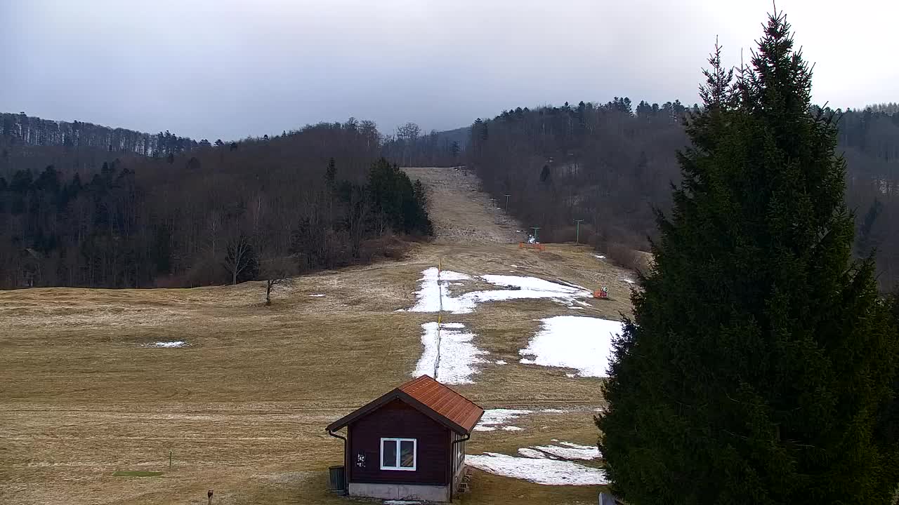 Webcam Loqua / Lokve – La bellezza della selva di Tarnova