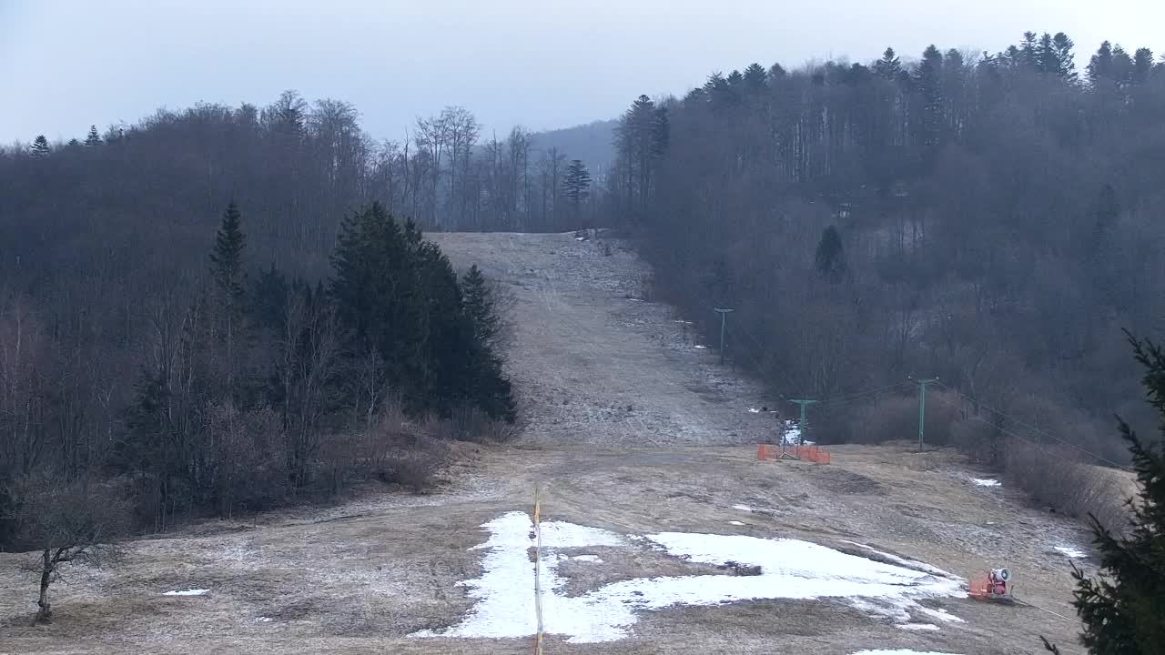 Webcam Loqua / Lokve – La bellezza della selva di Tarnova