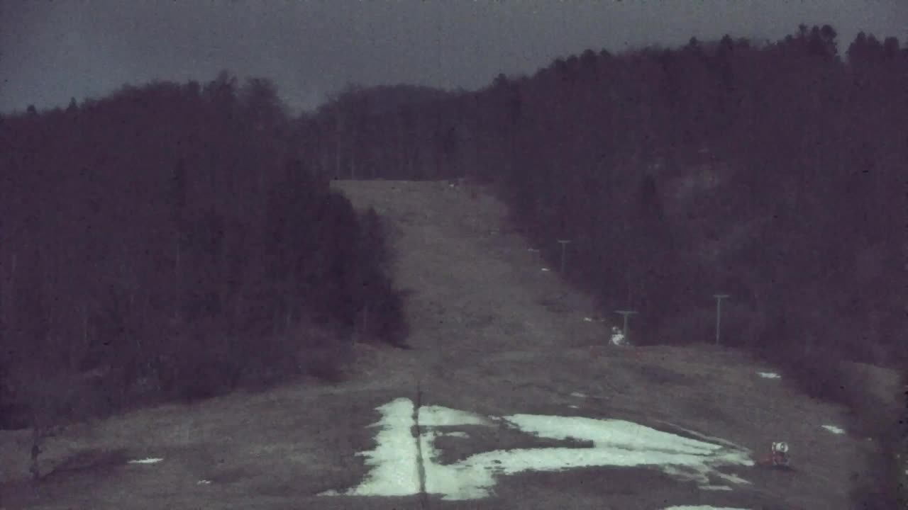 Webcam Lokve – Die Schönheit des Trnovo-Waldes