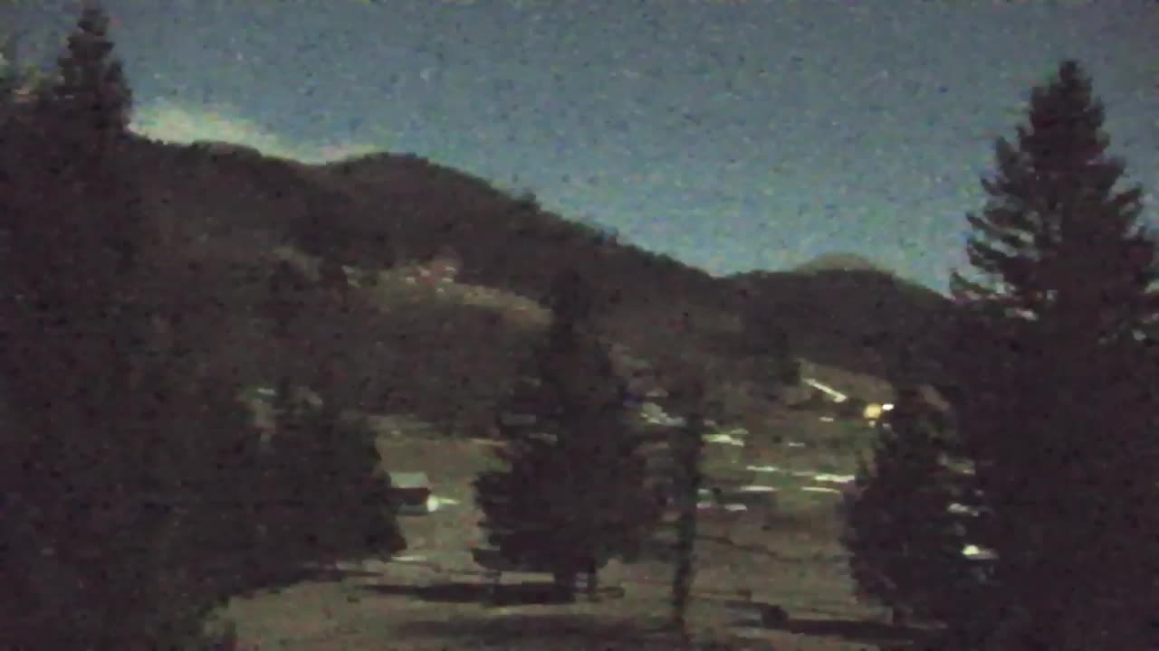 Webcam Loqua / Lokve – La bellezza della selva di Tarnova