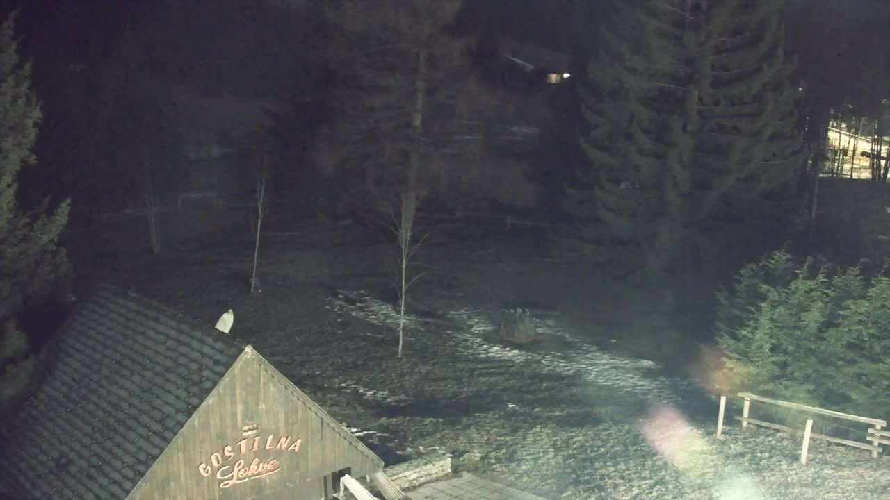 Webcam Lokve – Die Schönheit des Trnovo-Waldes