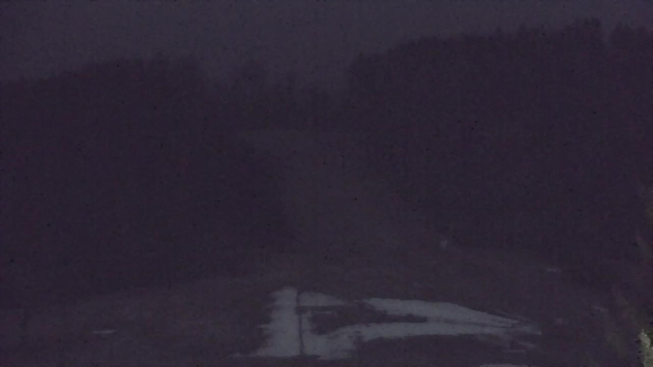 Webcam Lokve – The beauty of the Trnovo forest