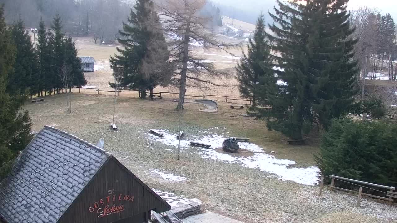 Webcam Loqua / Lokve – La bellezza della selva di Tarnova