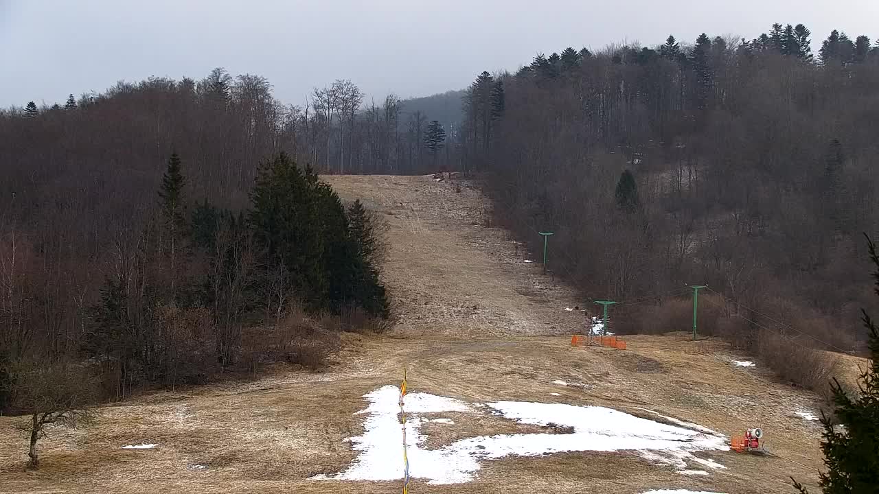 Webcam Lokve – Die Schönheit des Trnovo-Waldes
