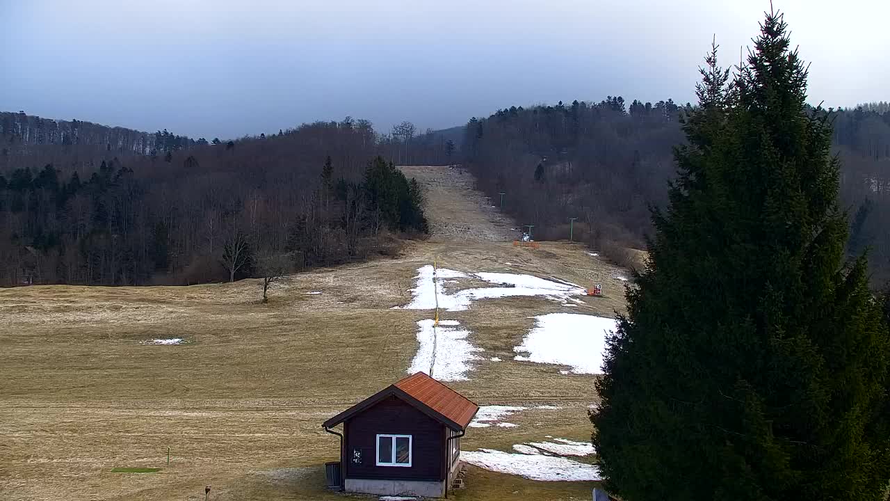 Webcam Lokve – Die Schönheit des Trnovo-Waldes