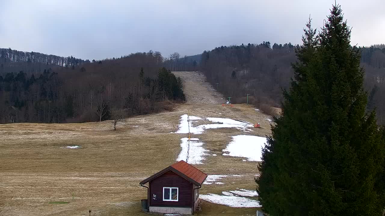 Webcam Lokve – Die Schönheit des Trnovo-Waldes