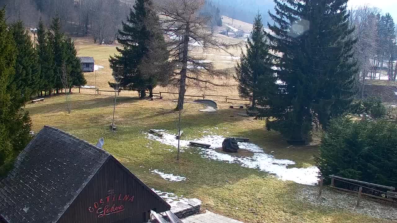 Lokve kamera – Naravne lepote Trnovskega gozda