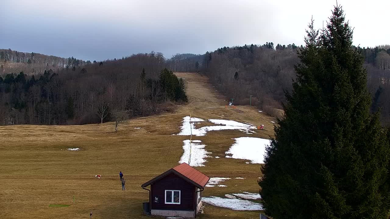 Webcam Lokve – The beauty of the Trnovo forest