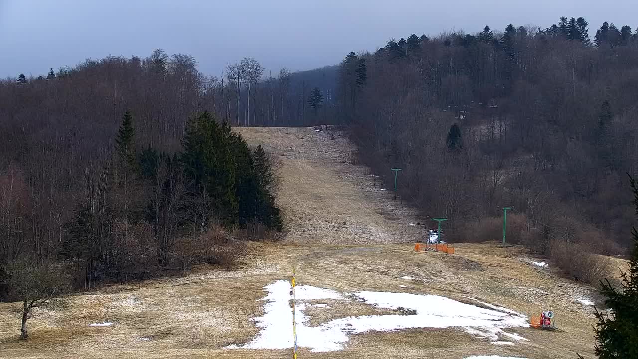 Webcam Lokve – The beauty of the Trnovo forest