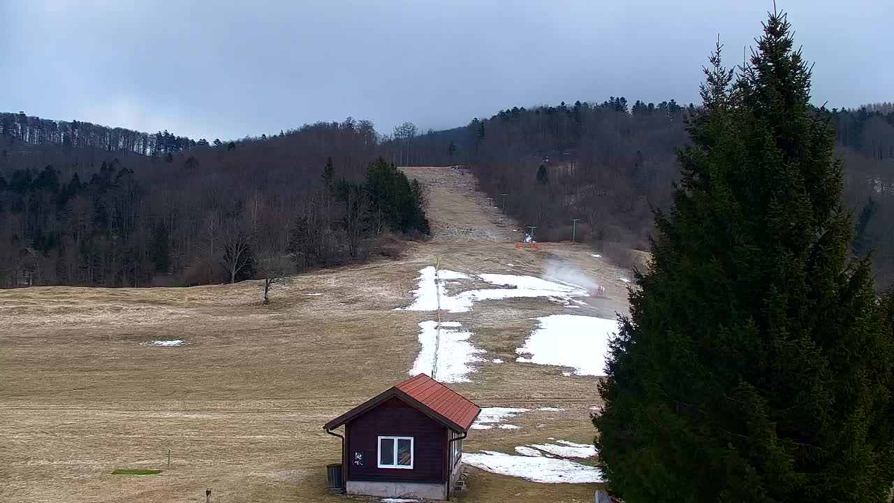 Webcam Lokve – The beauty of the Trnovo forest
