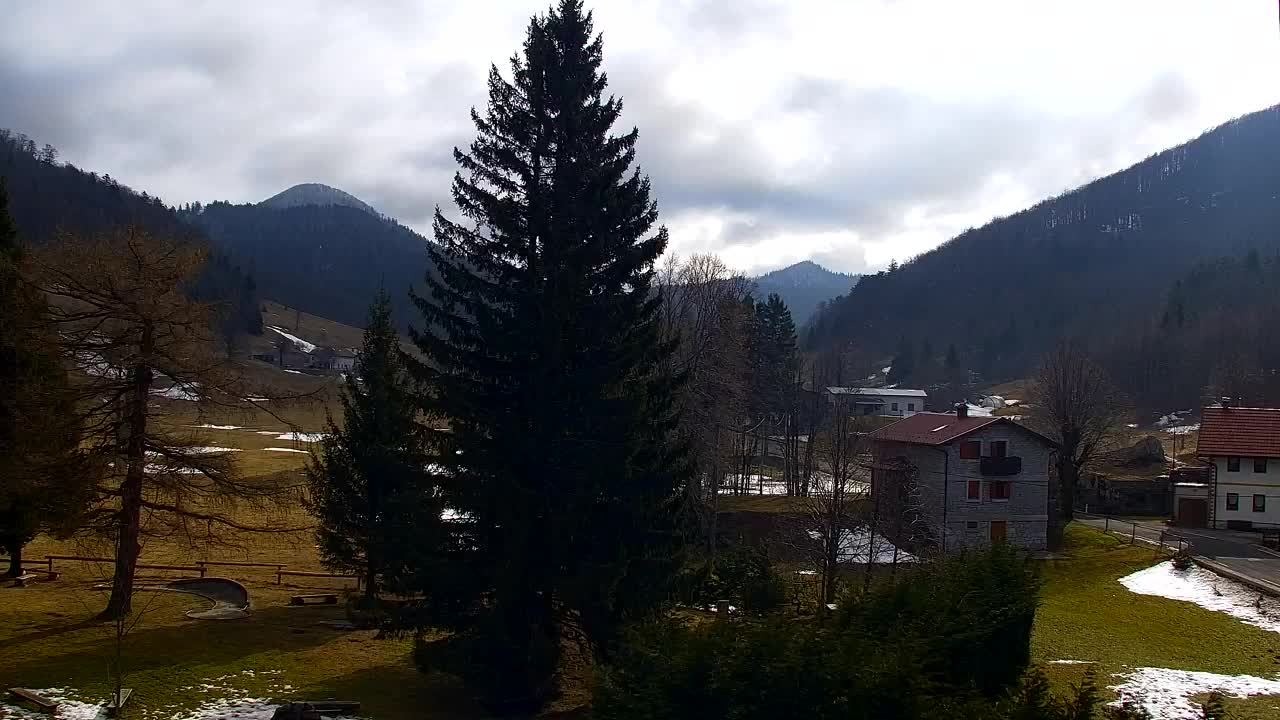 Webcam Lokve – The beauty of the Trnovo forest