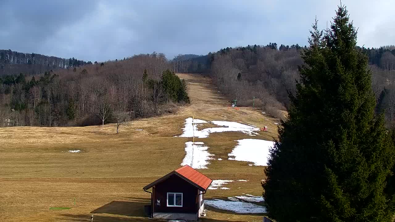 Webcam Lokve – The beauty of the Trnovo forest
