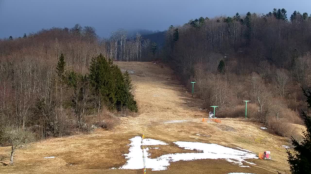 Lokve kamera – Naravne lepote Trnovskega gozda