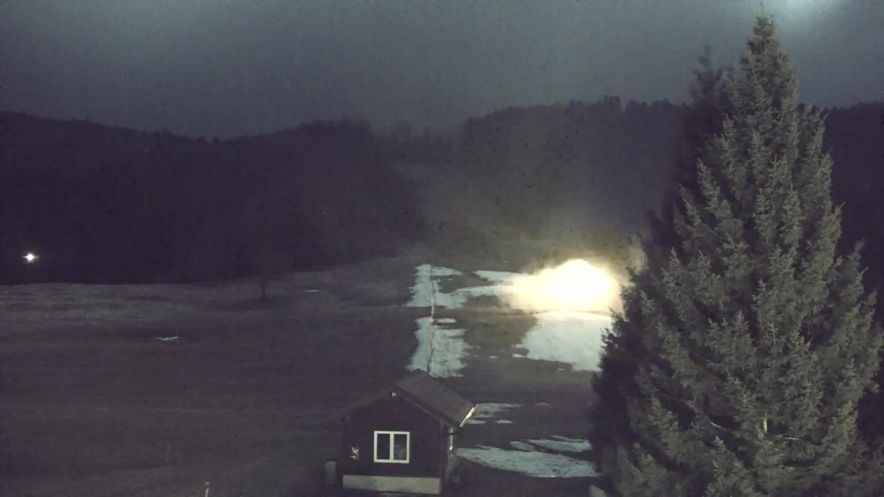 Webcam Lokve – The beauty of the Trnovo forest