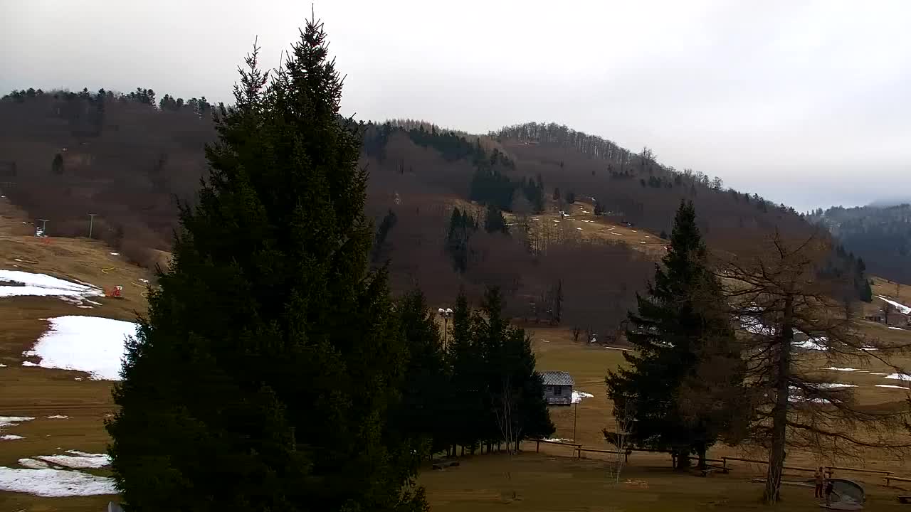 Camera en vivo Lokve – La belleza del bosque de Trnovo