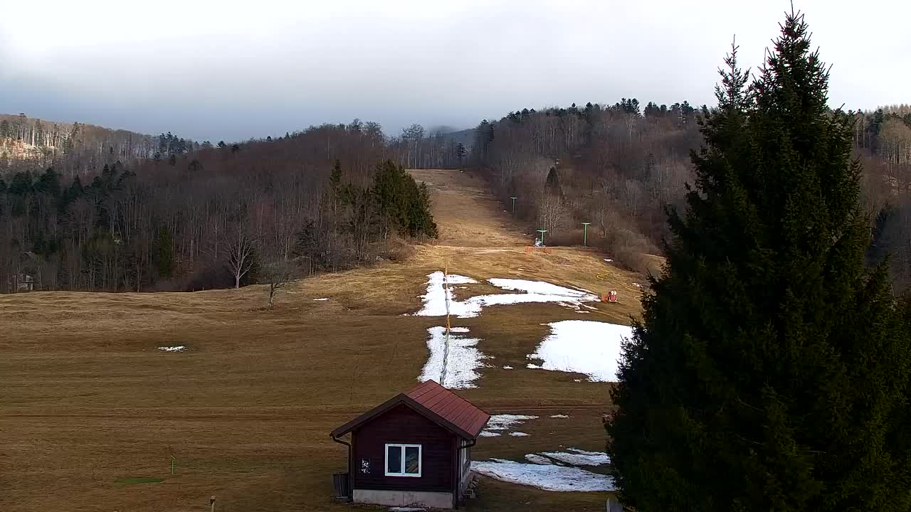 Webcam Lokve – The beauty of the Trnovo forest