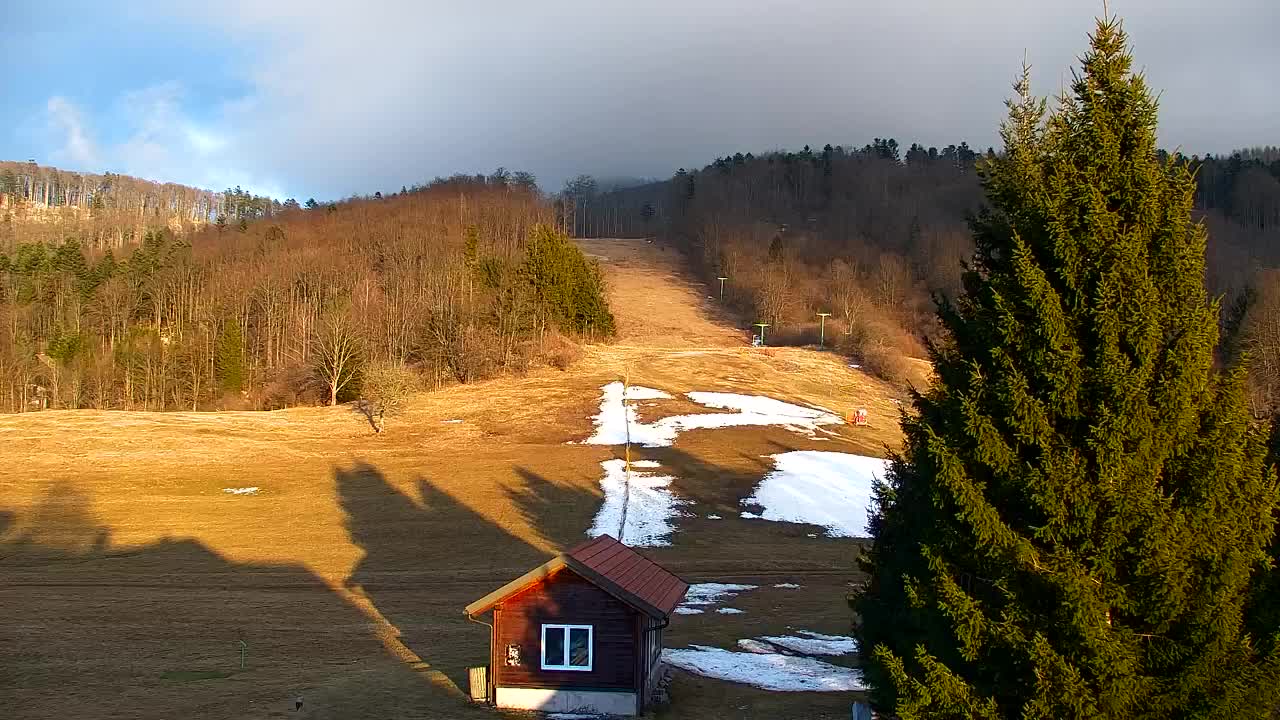 Webcam Loqua / Lokve – La bellezza della selva di Tarnova