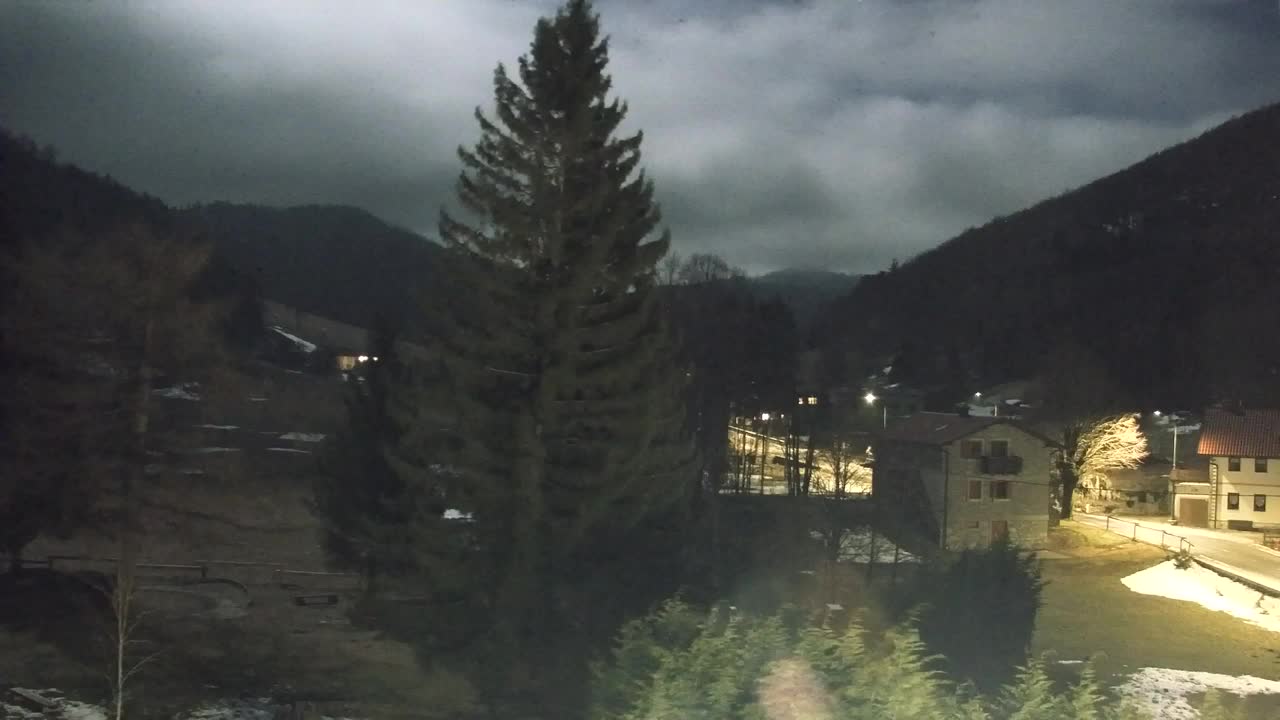 Webcam Lokve – The beauty of the Trnovo forest