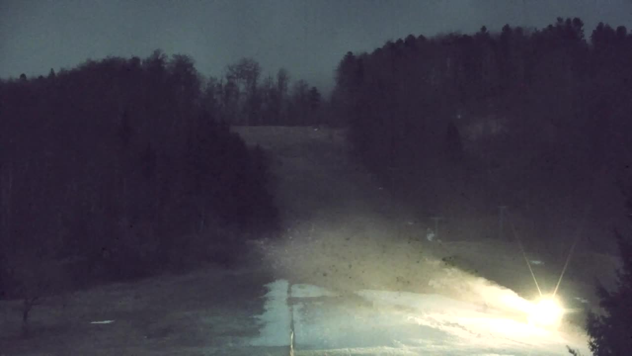 Webcam Lokve – The beauty of the Trnovo forest