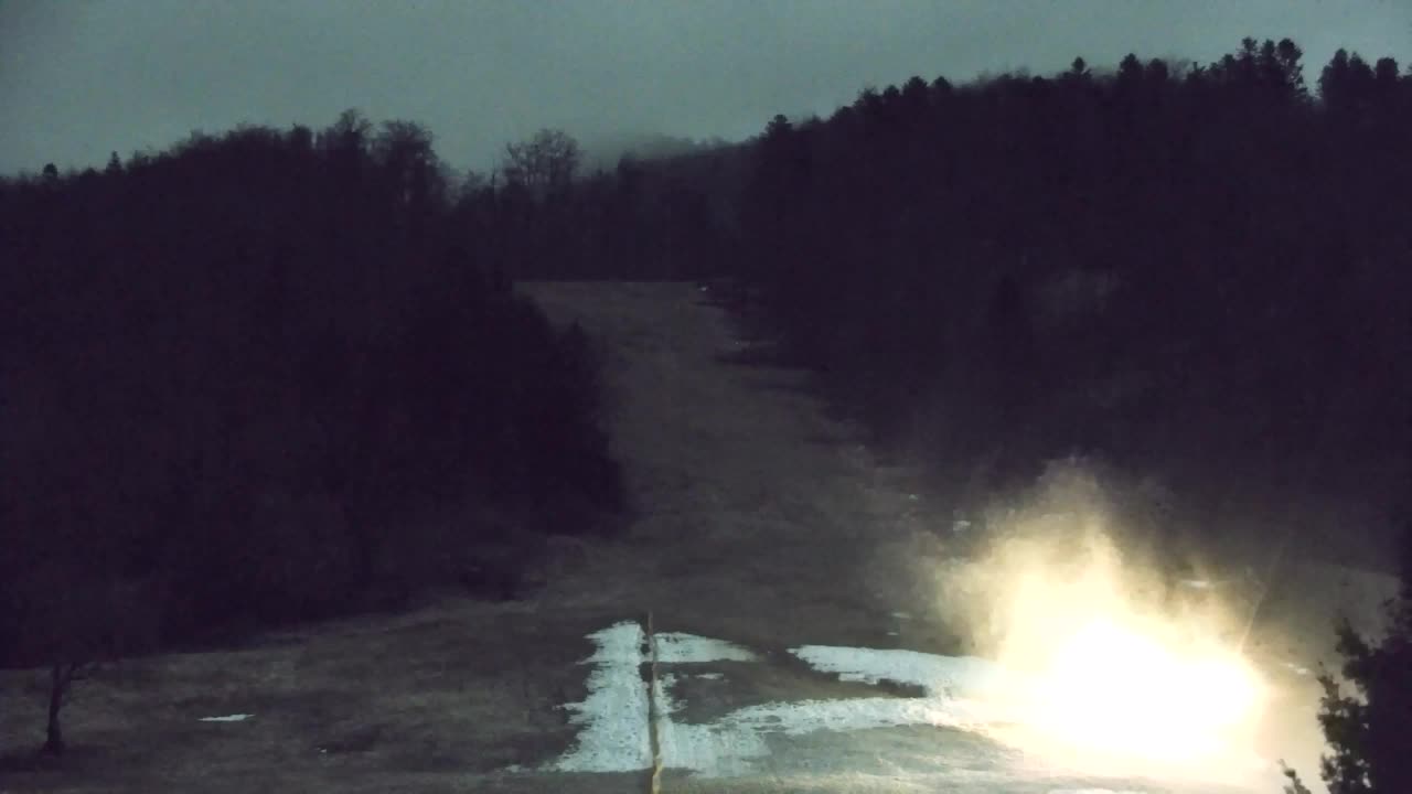 Webcam Lokve – Die Schönheit des Trnovo-Waldes