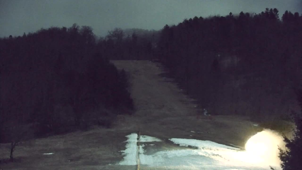 Webcam Lokve – La beauté de la forêt de Trnovo