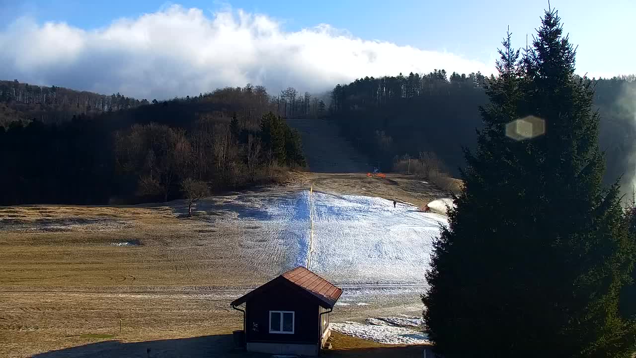Webcam Lokve – The beauty of the Trnovo forest