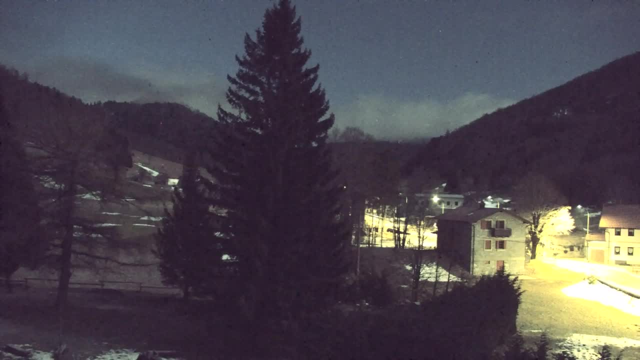 Webcam Loqua / Lokve – La bellezza della selva di Tarnova