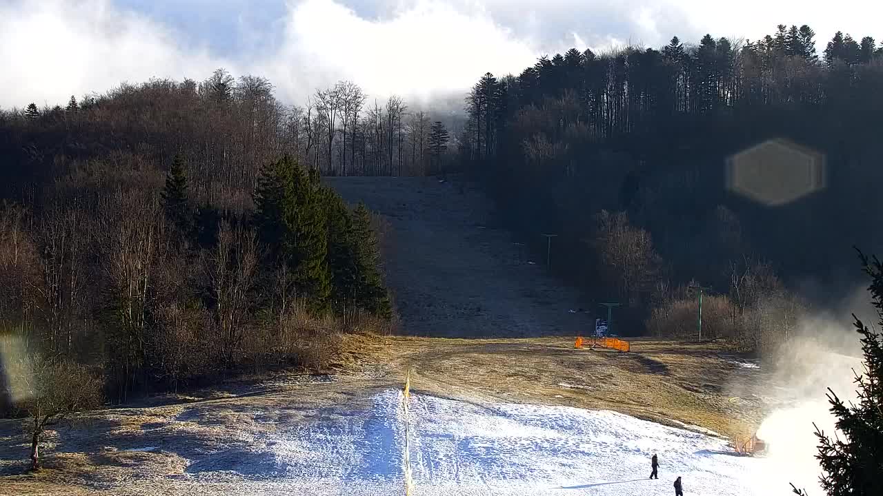 Webcam Lokve – La beauté de la forêt de Trnovo