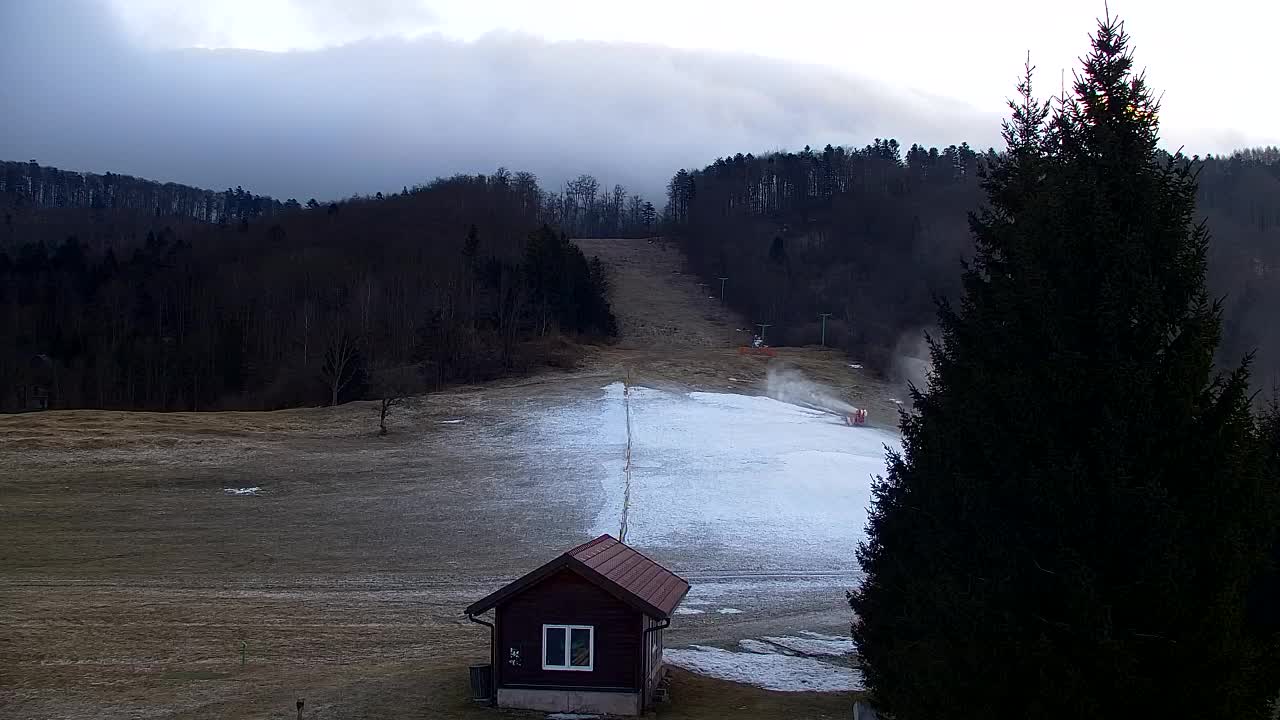Webcam Lokve – The beauty of the Trnovo forest