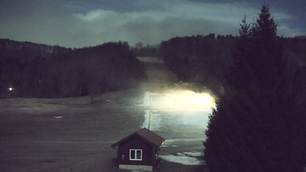 Webcam Loqua / Lokve – La bellezza della selva di Tarnova