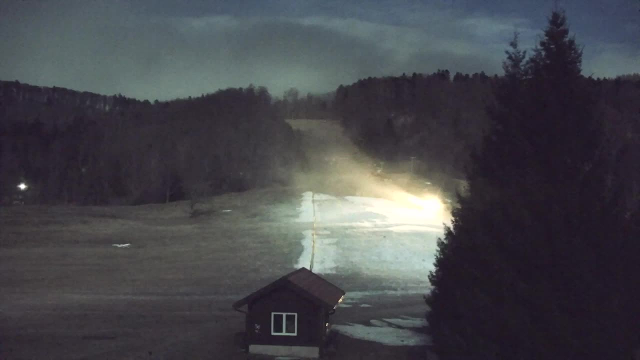 Webcam Lokve – The beauty of the Trnovo forest