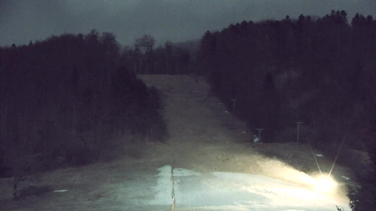 Webcam Loqua / Lokve – La bellezza della selva di Tarnova