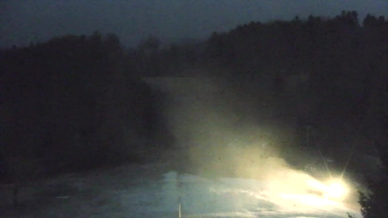 Webcam Lokve – The beauty of the Trnovo forest