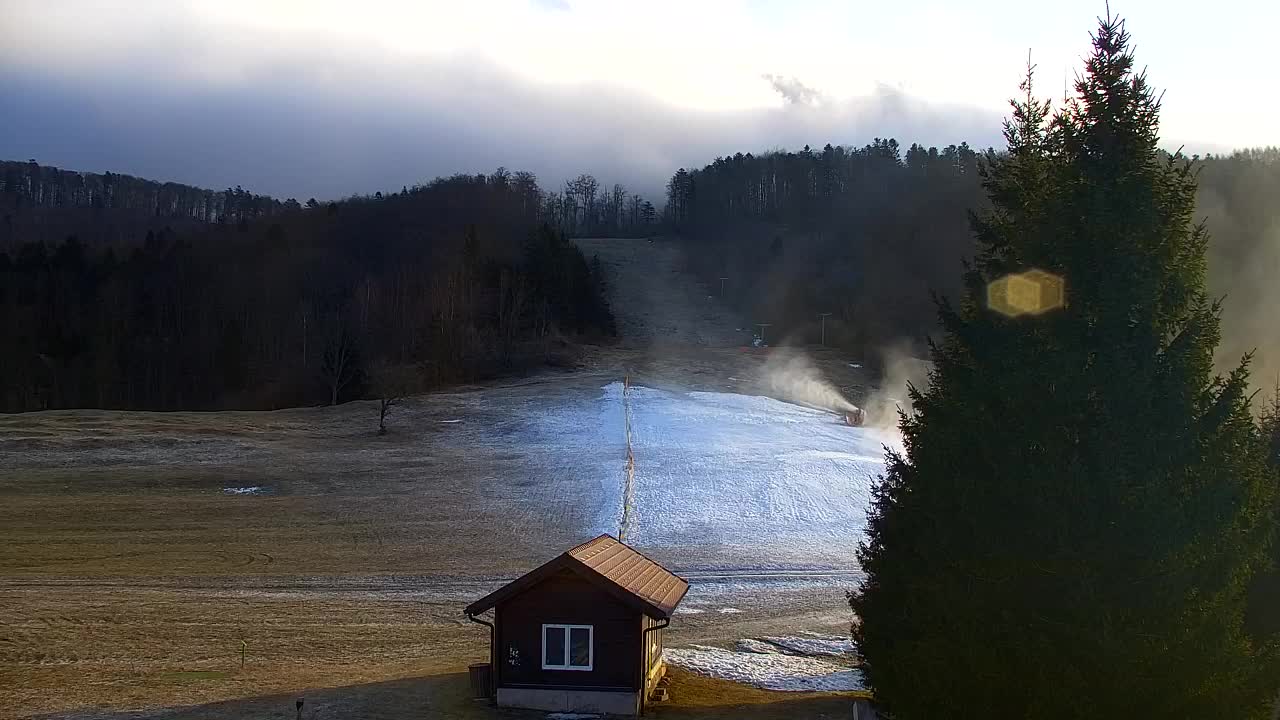 Webcam Loqua / Lokve – La bellezza della selva di Tarnova