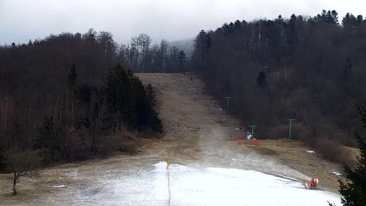 Lokve kamera – Naravne lepote Trnovskega gozda