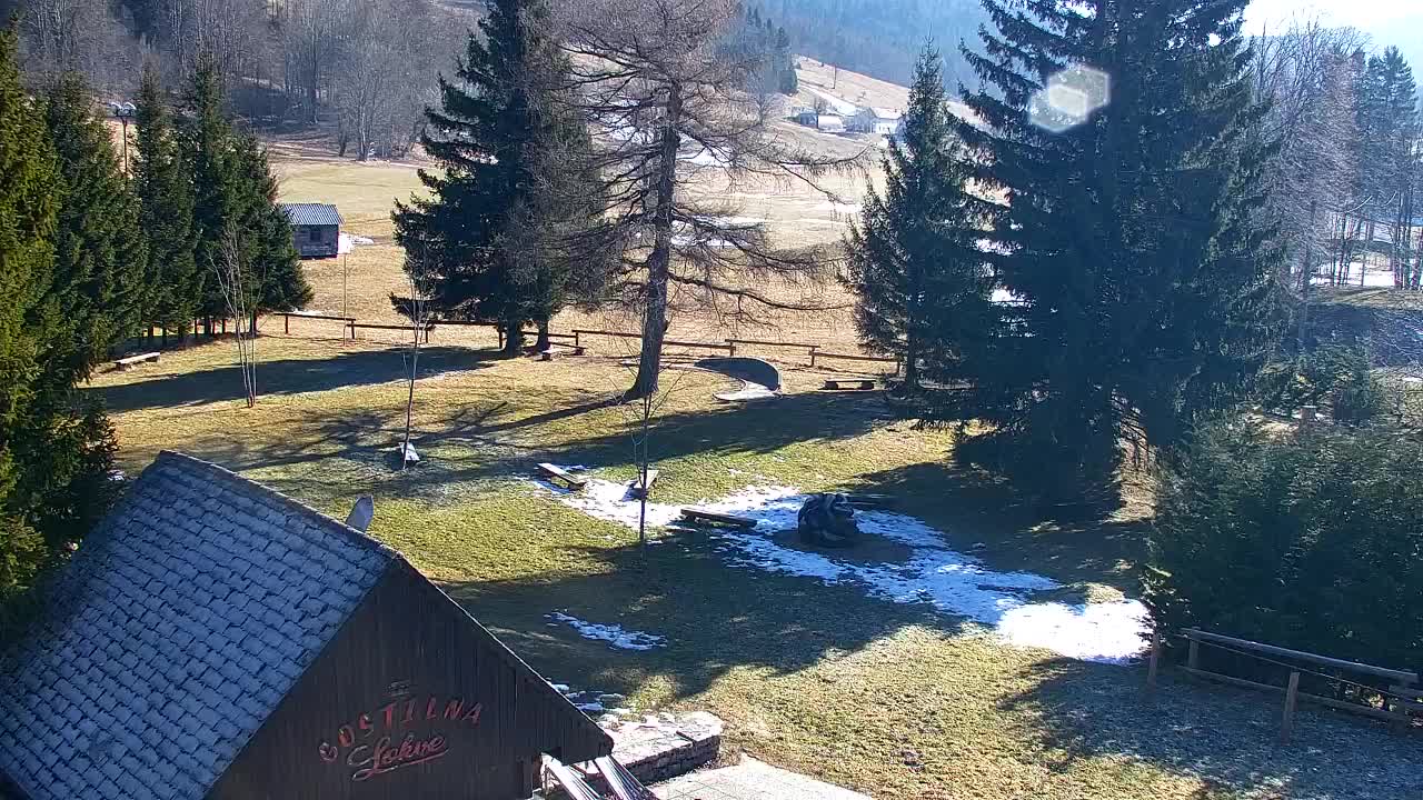 Webcam Loqua / Lokve – La bellezza della selva di Tarnova