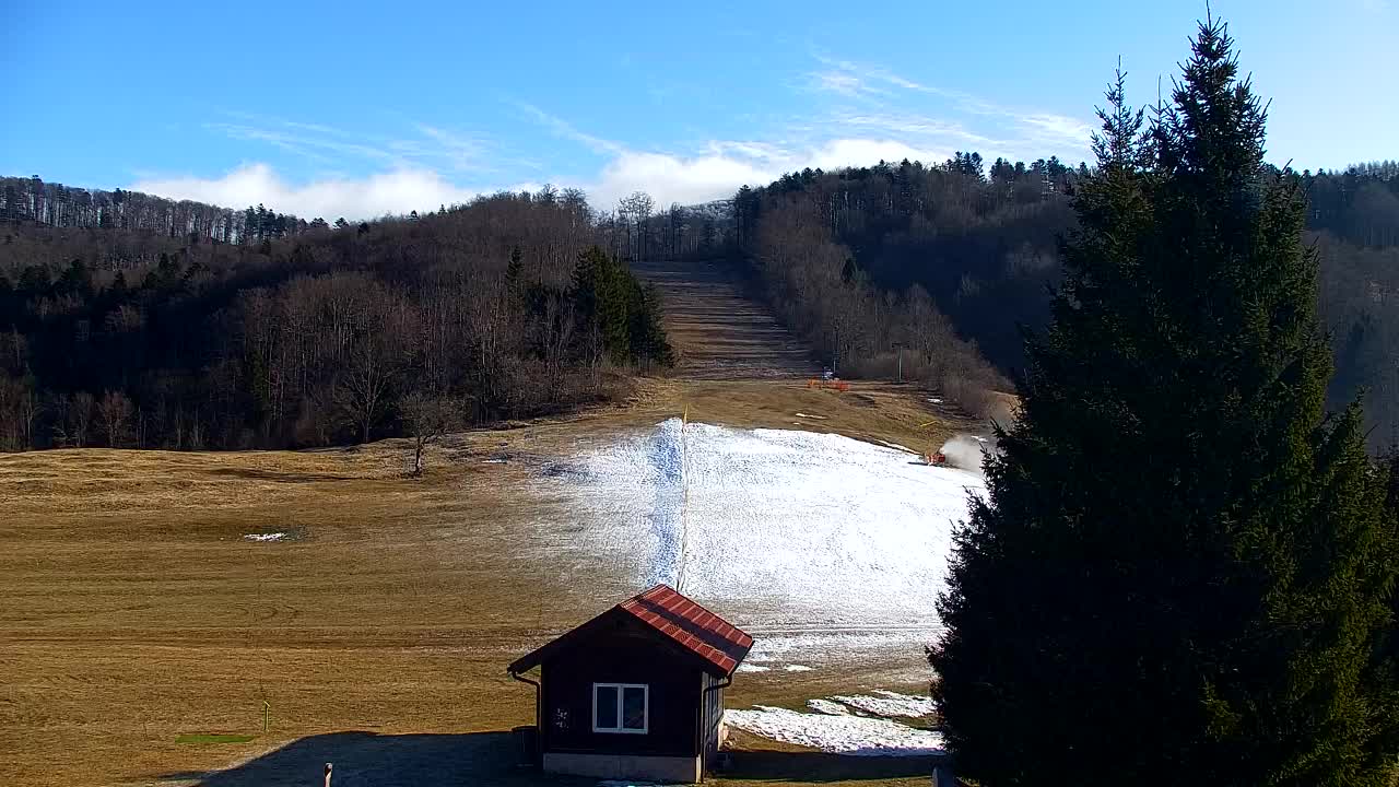 Lokve kamera – Naravne lepote Trnovskega gozda
