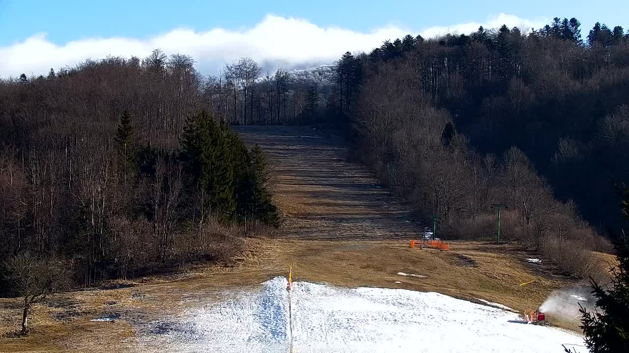 Webcam Loqua / Lokve – La bellezza della selva di Tarnova