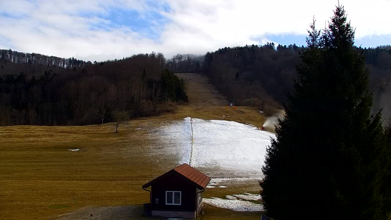 Webcam Lokve – The beauty of the Trnovo forest