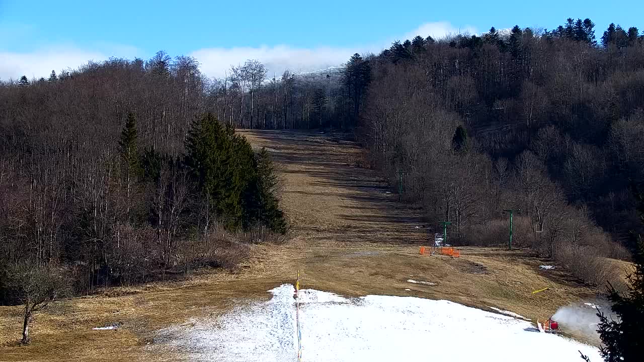 Web kamera Lokve – Ljepota Trnovske šume