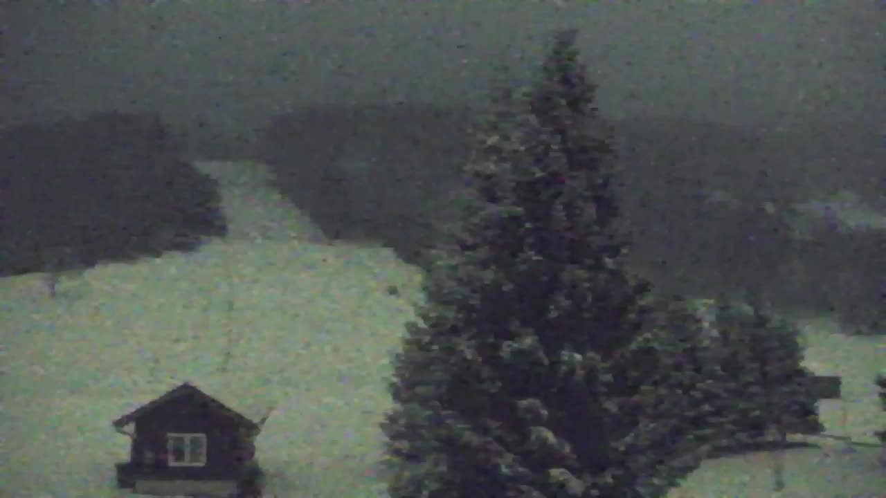 Webcam Lokve – The beauty of the Trnovo forest