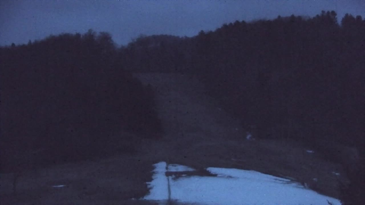 Webcam Loqua / Lokve – La bellezza della selva di Tarnova