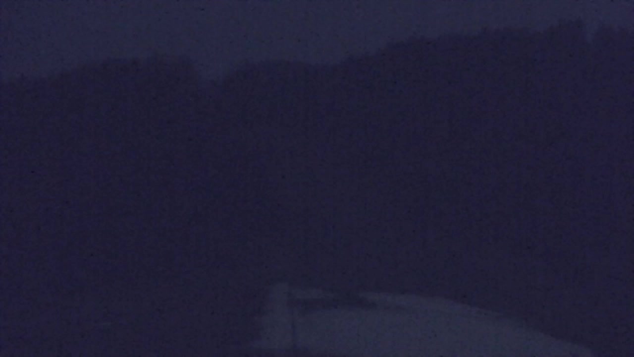 Webcam Lokve – The beauty of the Trnovo forest