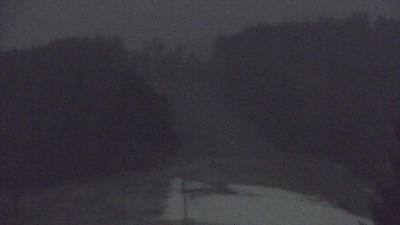 Webcam Loqua / Lokve – La bellezza della selva di Tarnova