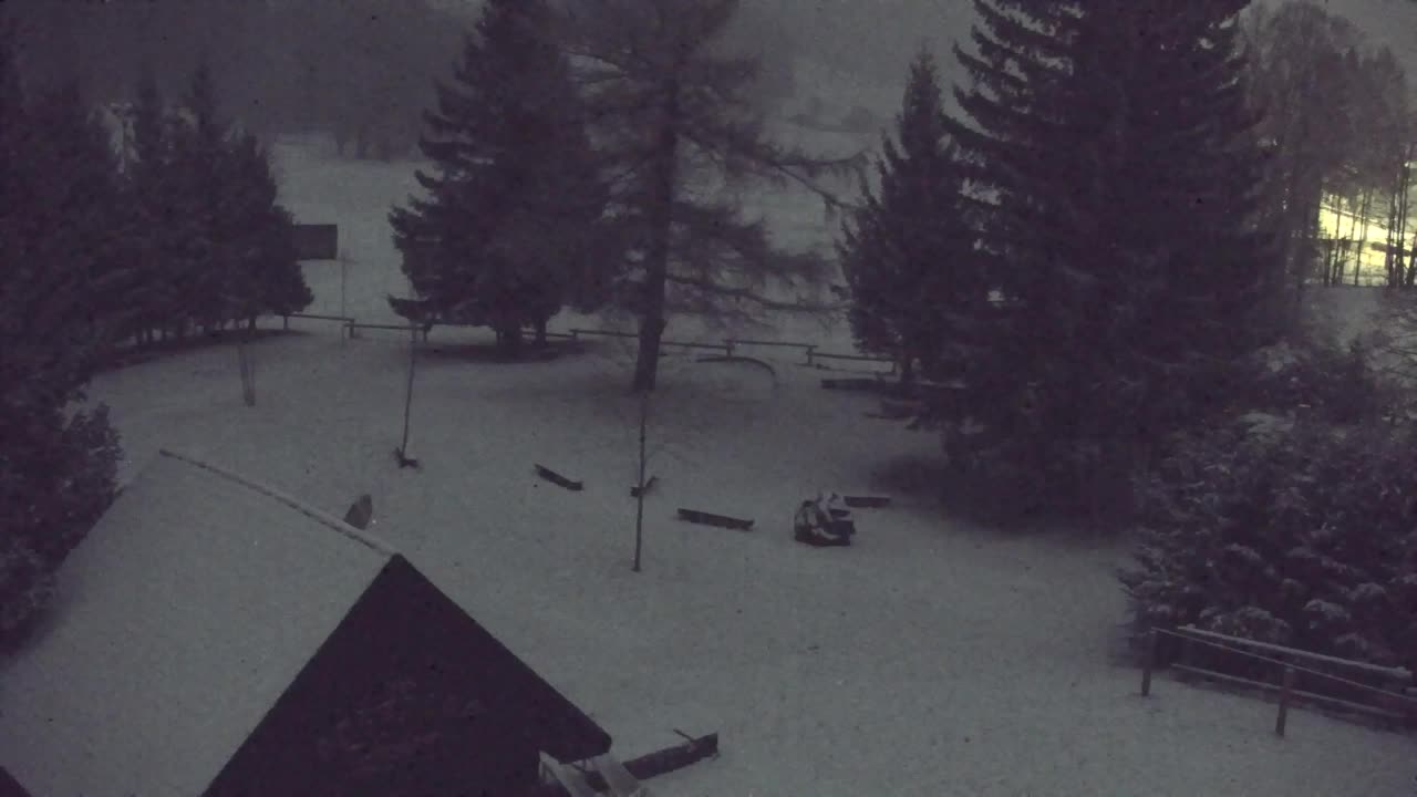 Webcam Loqua / Lokve – La bellezza della selva di Tarnova