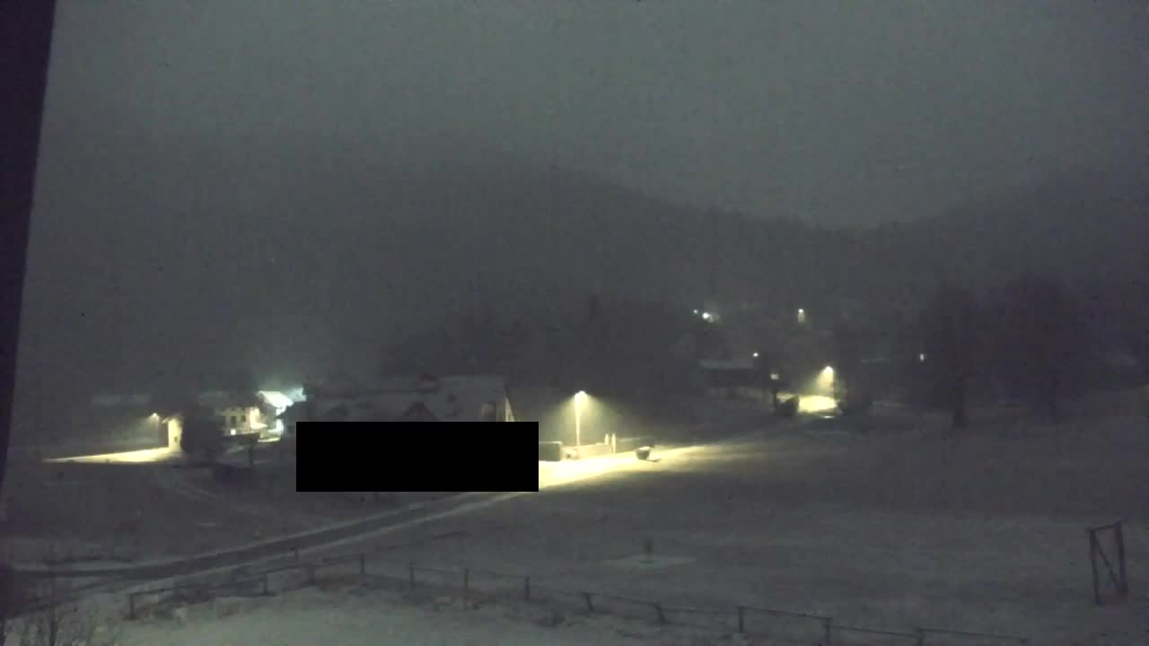 Webcam Loqua / Lokve – La bellezza della selva di Tarnova